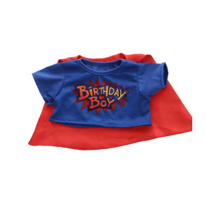 Birthday Hero Boy Tee (16")