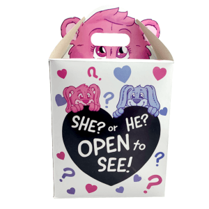 Gender Reveal Box 16