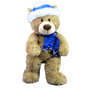 Toboggan the Teddy (16")