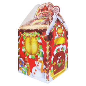 Carry Home Box Christmas